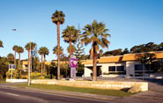 Dog Rock Motel