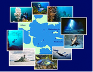 South Coast Diving