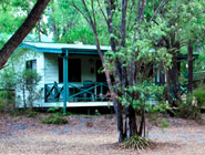 Coalmine Beach Holiday Park
