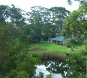 Crystal Springs Walpole