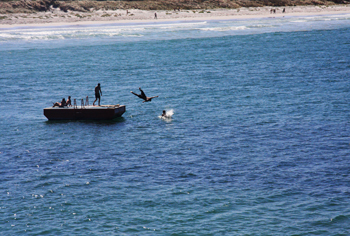 Emu Point Beach
