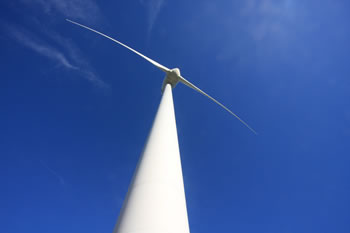 Wind Turbine at Albany Windfarm