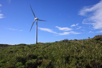 Bibbulmun Track Lookout near Albany Windfarm