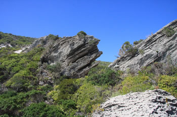 Coastline of Western Australia