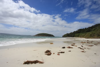 Shelley Beach