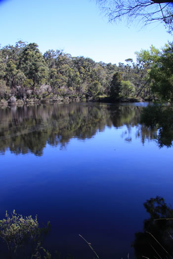 Rowels Pool, Fernhook Falls