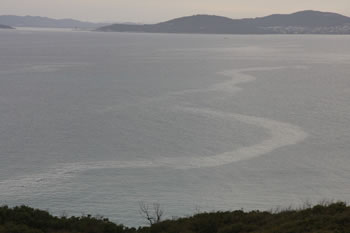 Gull Rock North