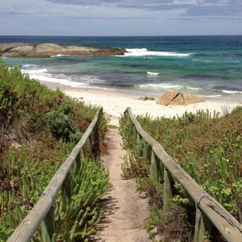 Lights Beach Lookout
