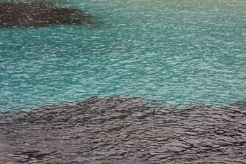 Waterfall Beach Water