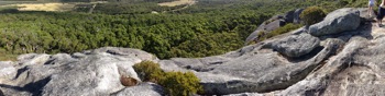 Monkey Rock, the Rocks