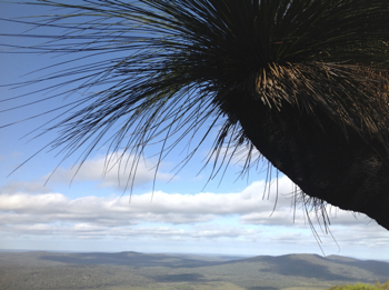Half Way Up Mount Frankland