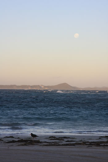 Subaru All Wheel Drive >> Peaceful Bay near Walpole-Nornalup National Park in the Walpole Wilderness Area, WA. Camp at ... Subaru All Wheel Drive >> Peaceful Bay near Walpole-Nornalup National Park in the Walpole Wilderness Area, WA. Camp at ...
