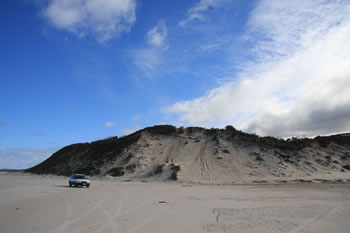 Peaceful Bay Sand Dunes