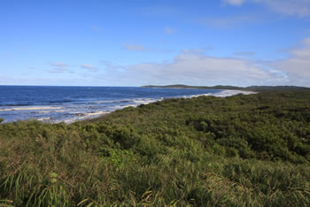Peaceful Bay, Walpole