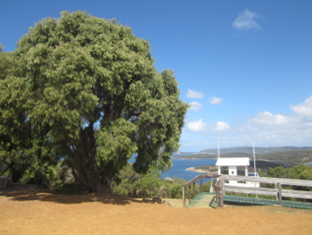 American Signal Lookout, Princess Royal Fortress, Albany, WA