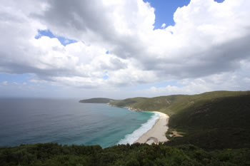 Shelley Beach Facing East