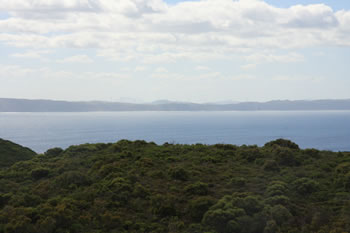 Shelley Beach Lookout facing the Albany Wind Farm