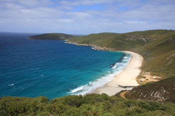 Shelley Beach Lookout
