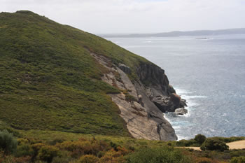 Shelley Beach Lookout facing Albany Windfarm, West Cape Howe