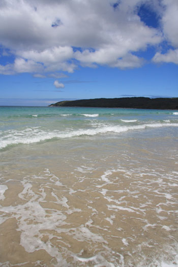 Torbay Inlet, Torbay