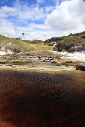 Torbay Inlet, Torbay