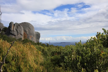 Stony Hill toward Eclipse Island, Torndirrup NP, Albany