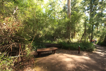 Ancient Empire Walk - A family day out