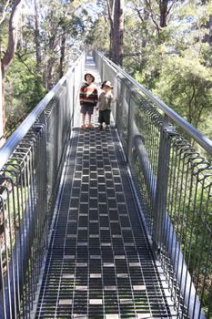 Valley of the Giants Treetop Walkway