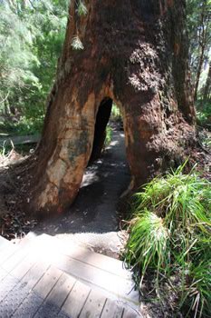 Ancient Empire Walk - A family day out