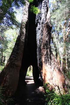 Ancient Empire Walk - A family day out
