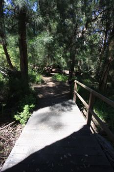 Ancient Empire Walk - A family day out