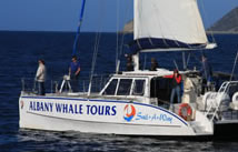 Whale Watching, Albany, WA