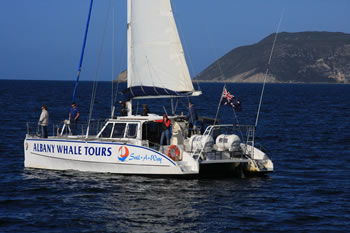 Albany Whale Tours, Albany Australia