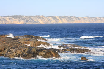 Wilson Head and the Great Southern Ocean