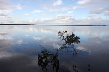 Wilson Inlet Reflections