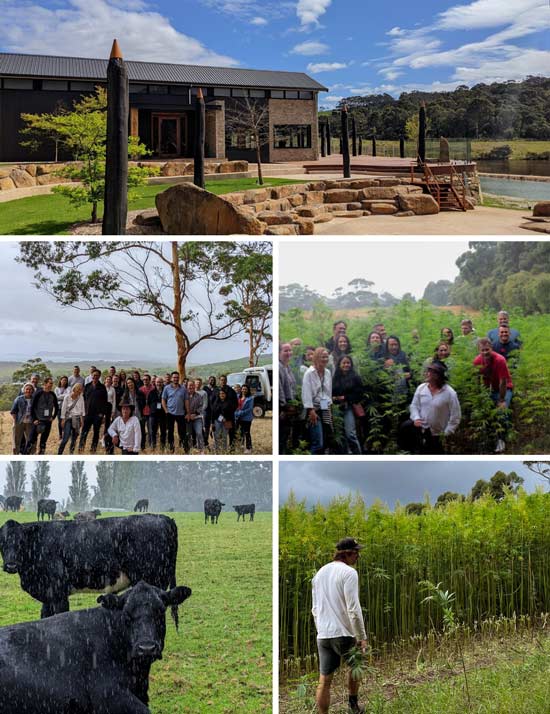 A Tour of Raintree Estate