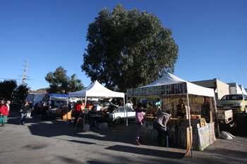 Albany Farmer's Market Stall, Veggie Stalls