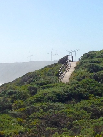 Albany Windfarm Walk 