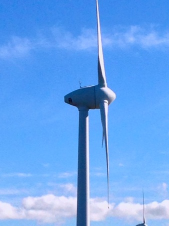 Albany Windfarm turbine