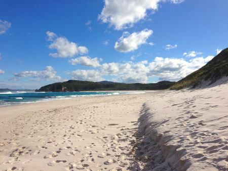 The Beach at Anvil Beach