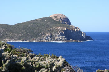 Bald Head in the Distance at The Blowholes Albany