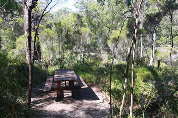 Picnic Tables