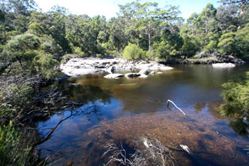 Circular Pool, Walpole-Nornalup National Park