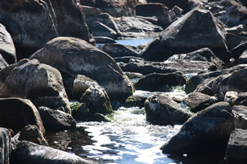 Circular Pool in the Walpole-Nornalup National Park