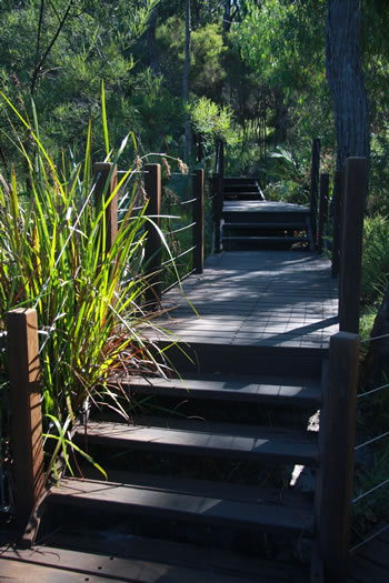 Circular Pool Boardwalk Pathway