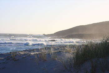 South Coast Beaches Map