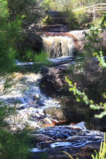 Fernhook Falls Camping, Walpole