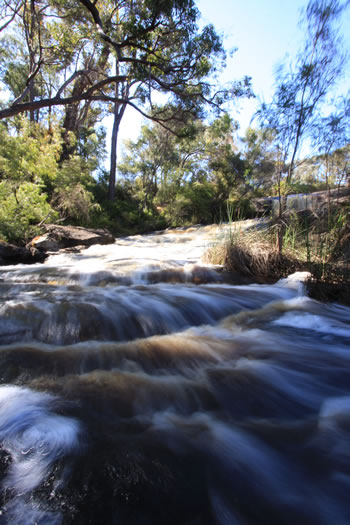 Fernhook Falls, Long Exposure, Walpole Wilderness Area