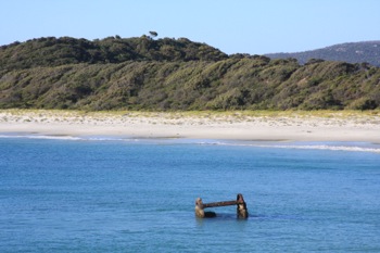 Boiler Bay Beach