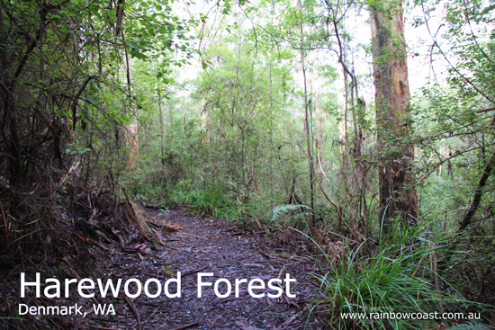 Harewood Forest, Denmark, Western Australia